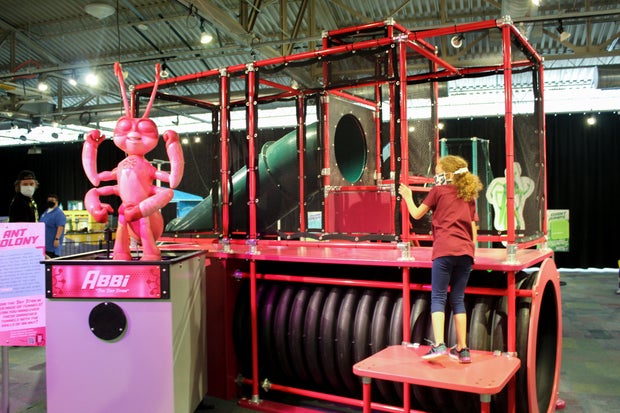 bug-squad-2-courtesy-of-omaha-childrens-museum.jpg 