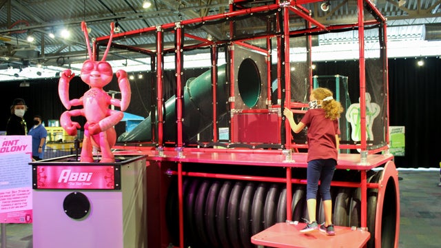 bug-squad-2-courtesy-of-omaha-childrens-museum.jpg 