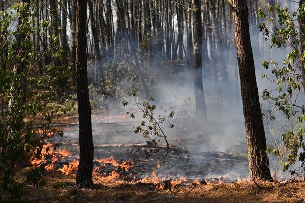France Wildfires 