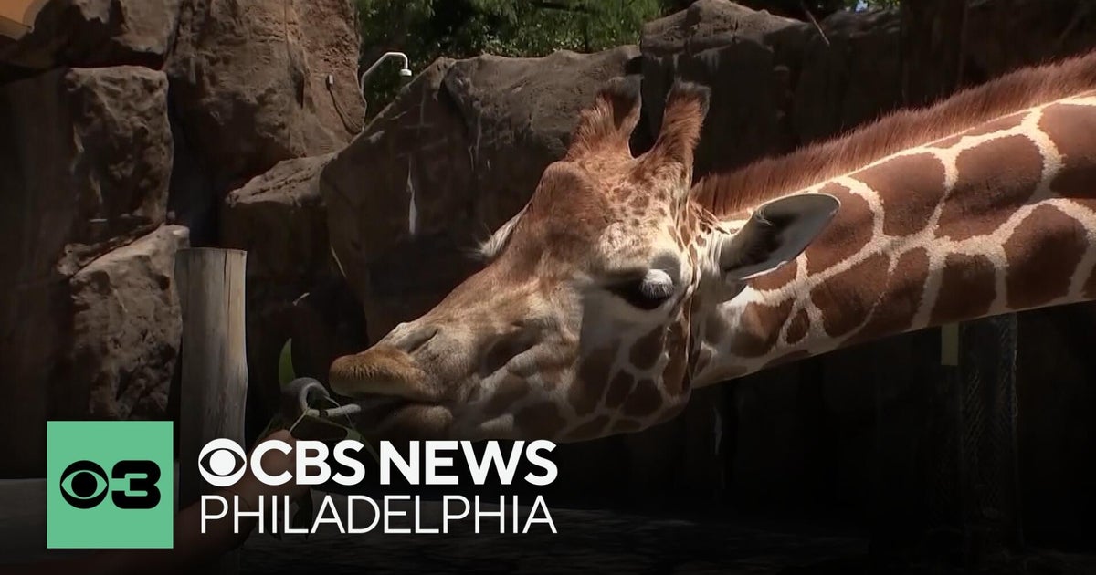 Philadelphia Zoo, America's first, debuts new additions for nation's ...