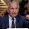 Examining the legal process behind Fauci diaries release