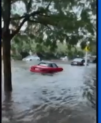 cars-flood.png 