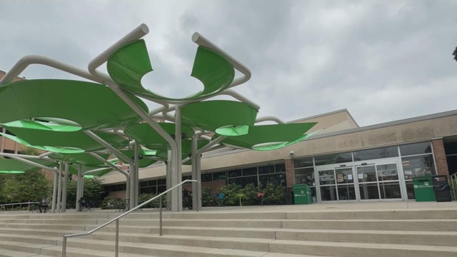 Royal Oak Library temporarily closes due to bed bug infestation 