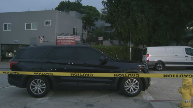 hollywood-hills-deadly-welfare-check.png 