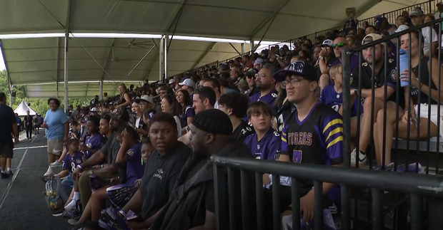 ravens10.png