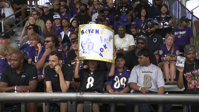 ravens9.png 