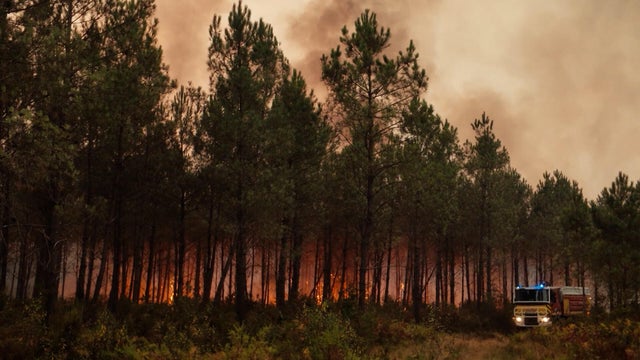 fires.jpg 