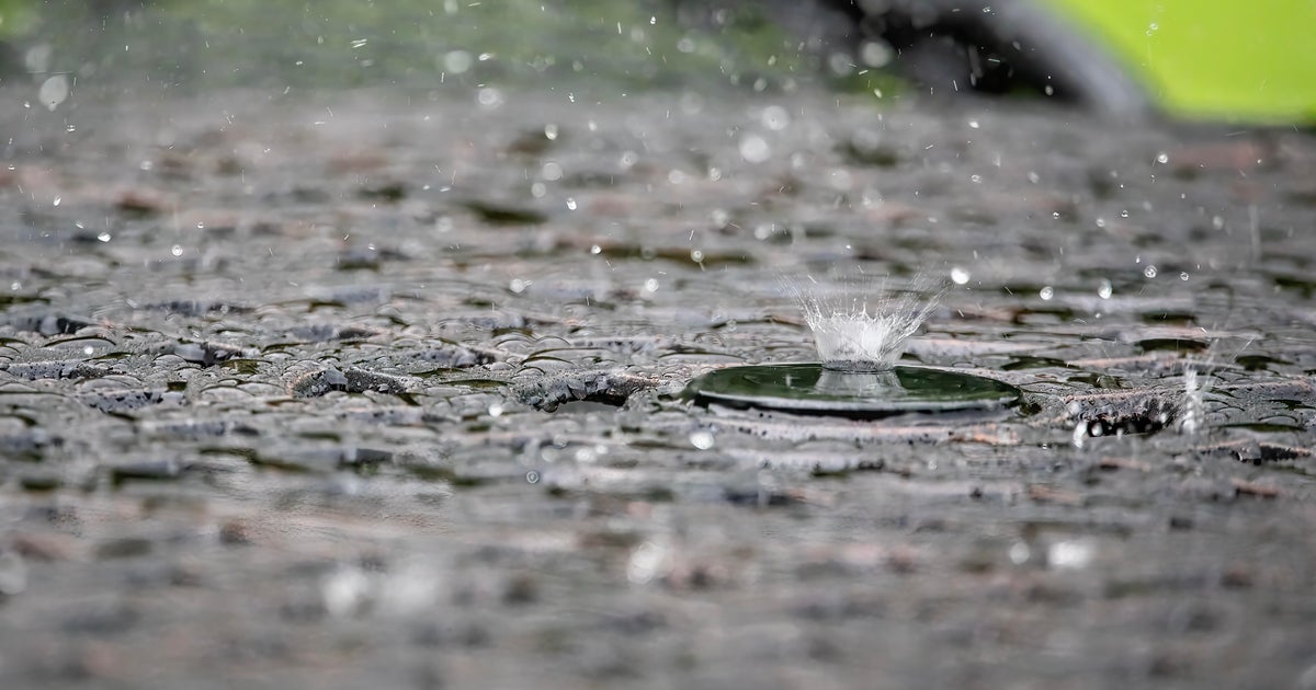 Rainfall totals across Minnesota amid wet Friday morning