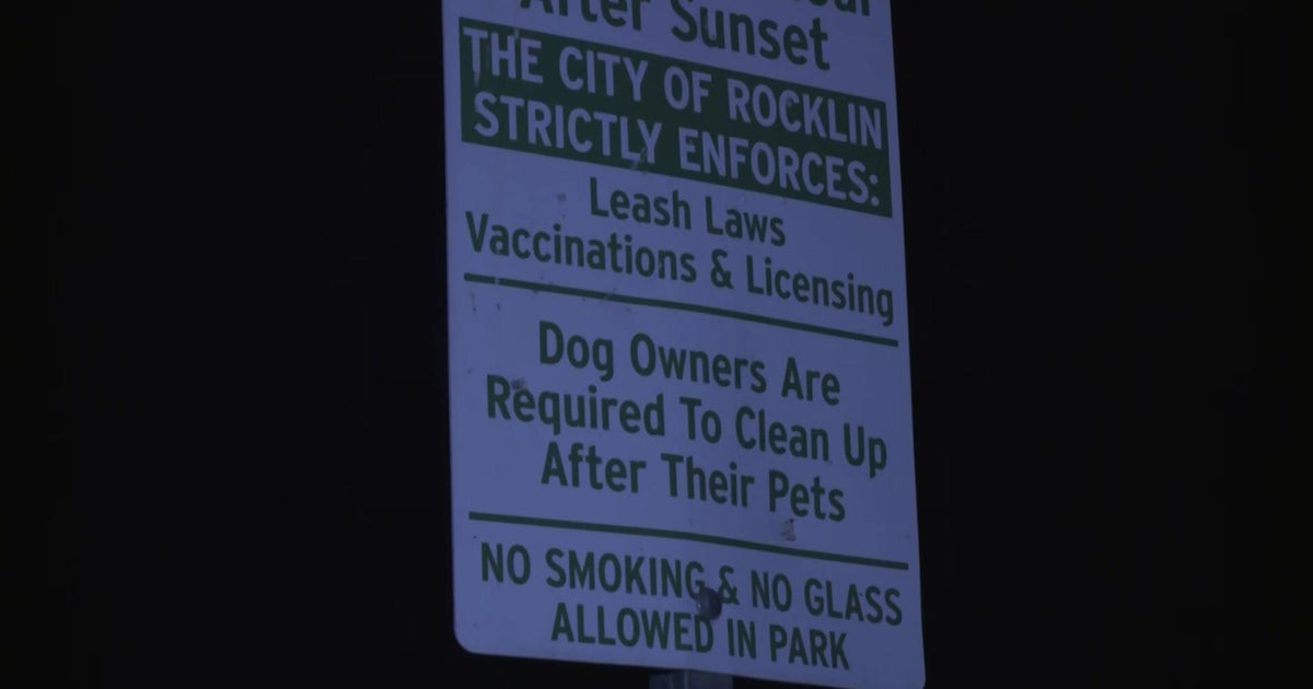 3-year-old hospitalized after dog attack at Rocklin park