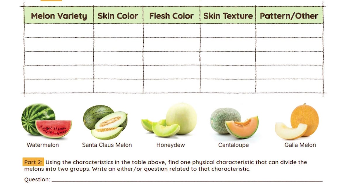 Making a dichotomous key for melons .. Just for Kids!