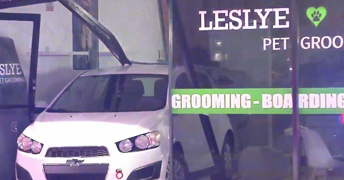 Car crashes into Doral pet grooming shop; no one hurt