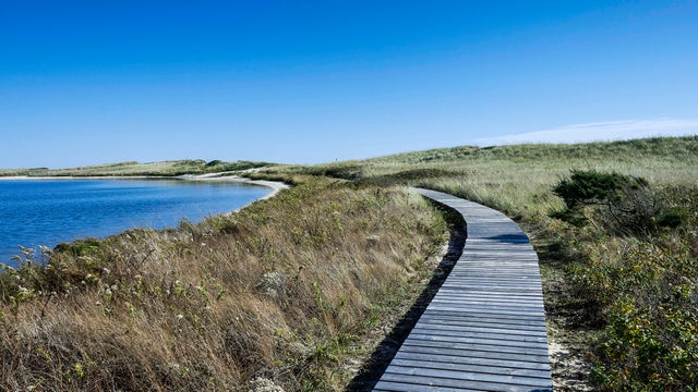 Walking path through Long Point Wildlife Refuge, West 