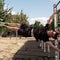 London building outdoor gyms with knives taken off streets