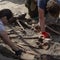 Human remains exhumed at WWII massacre site in Ukraine