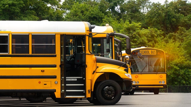School Buses in the School Yard 