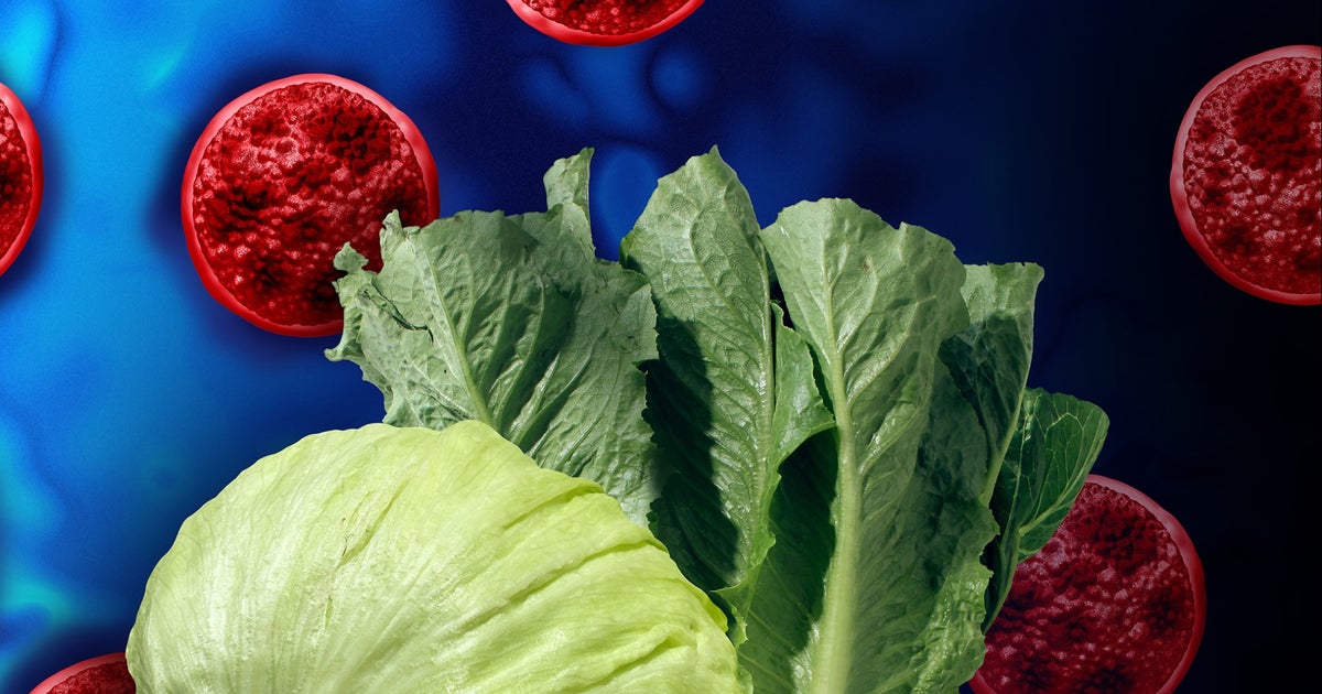 Michigan reports 2 deaths in cyclosporiasis outbreak