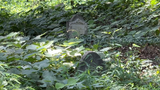 goats-graves-3.png