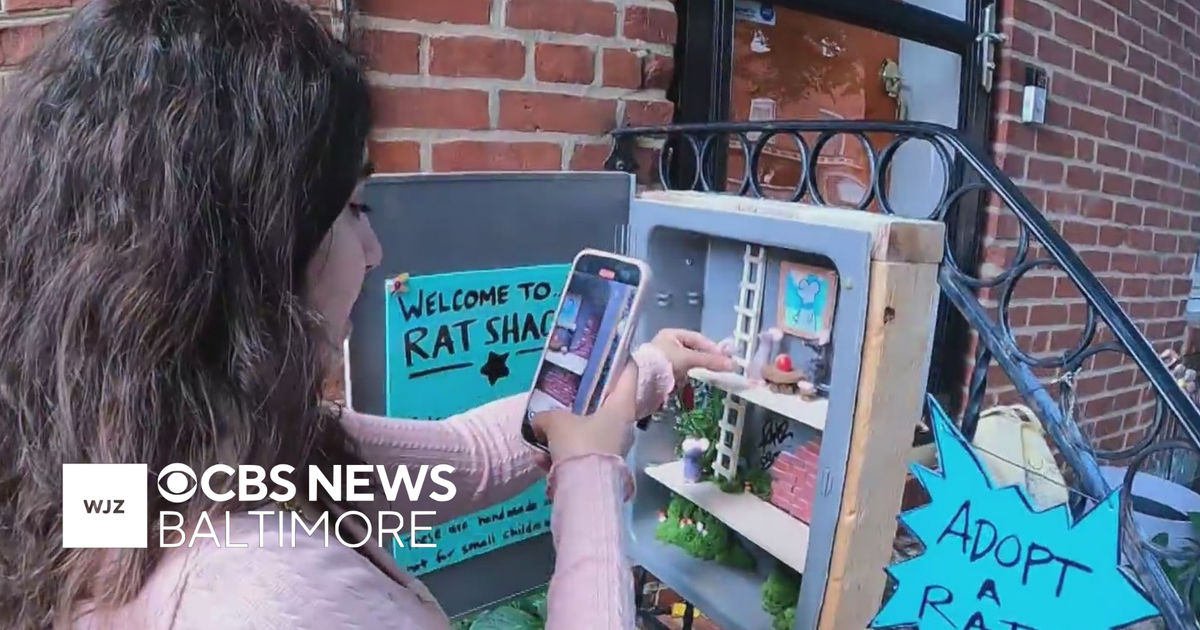 A Baltimore “rat shack” offers a different take on the city’s rat problem. The small community