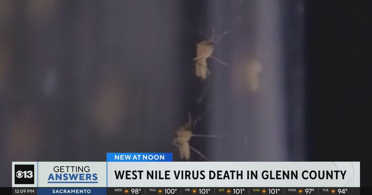 West Nile virus death reported in Glenn County