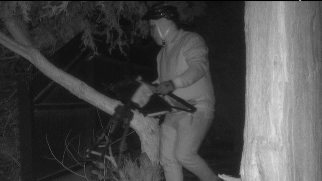Weston masked man 