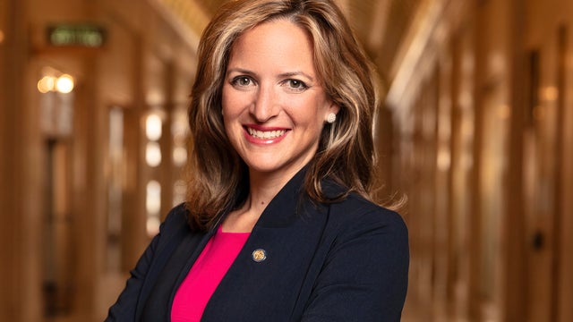 Benson-Swanson Michigan Democratic primary (gubernatorial) 