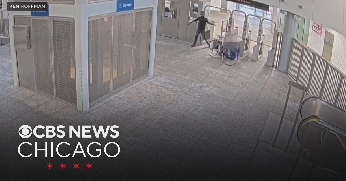 Private security companies sued after fare dodger knocks woman down at CTA station