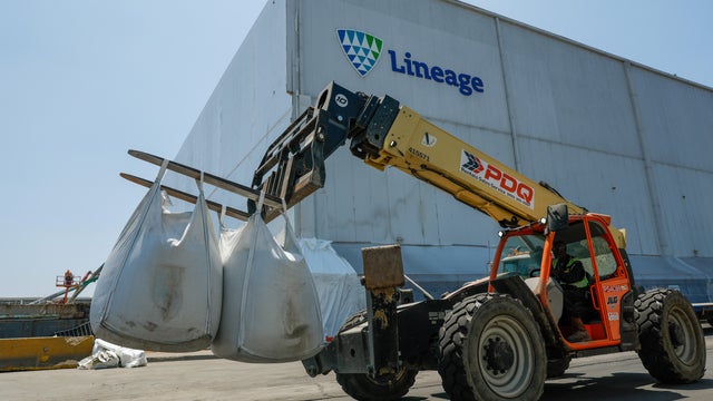 Lineage clean up cost 