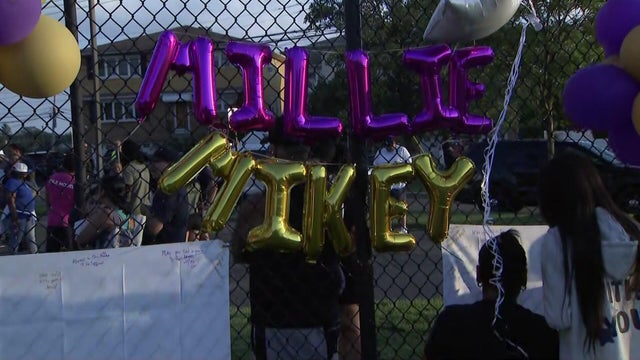 Millie and Mikey balloons on a fence 