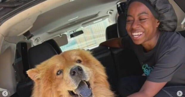 Oakland woman fights for her life after car crash involving driver under 10 years old