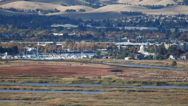 Suisun City and Suisun Marsh 