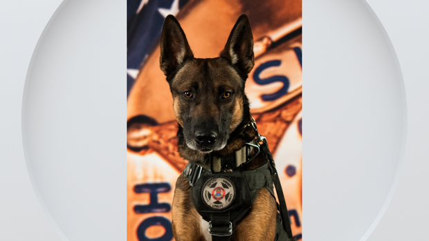 k9-styx-el-paso-county.png