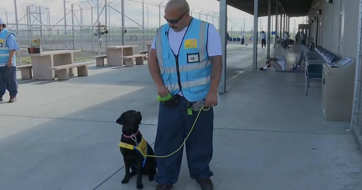 Prison inmates train service dogs, changing lives of people they've never met