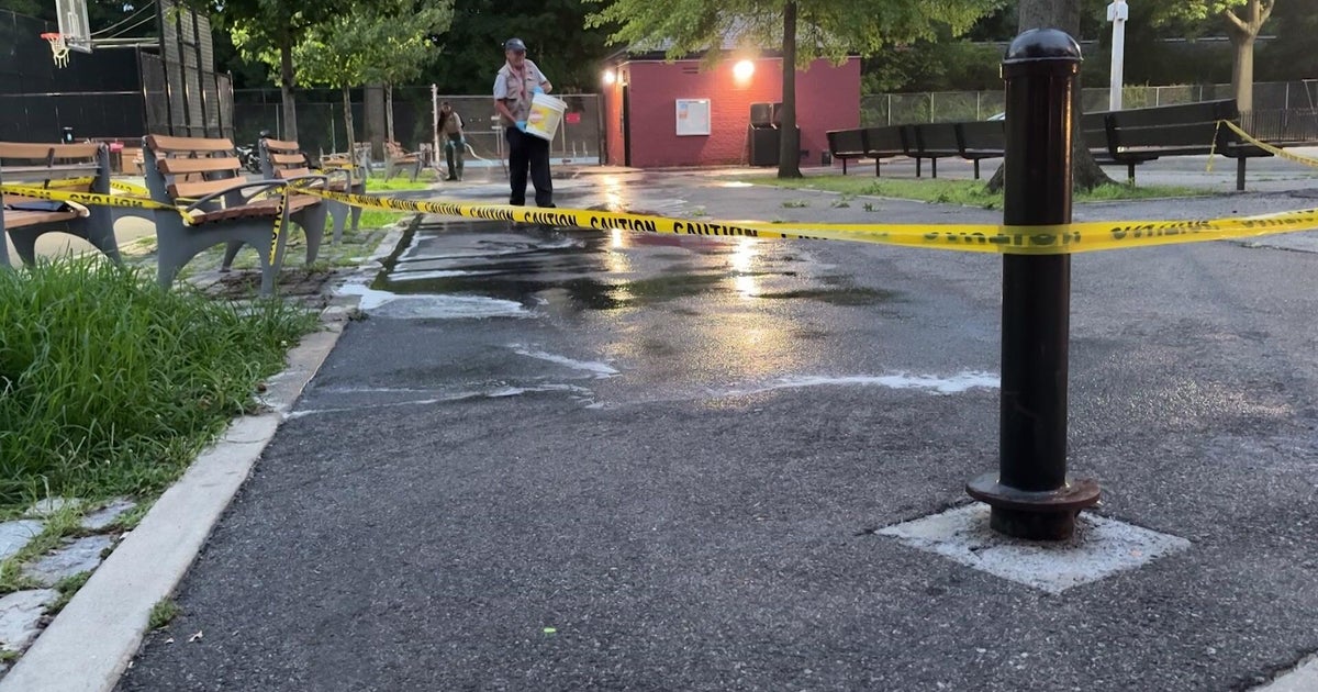 Source image for "10-year-old Staten Island girl injured in fireworks accident, Parks Department employee arrested"
