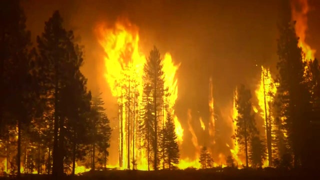 tz2b-wildfire-betting-kmaxg2i3.jpg 