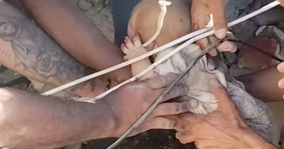 Baby rescued from rubble in Colombia after devastating earthquake