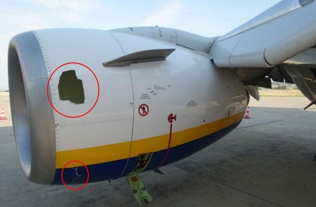 Evidence of bird strike found after passenger nearly sucked out of Ryanair flight's broken window, NTSB says 