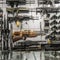 Ruling allows Americans to own short-barreled rifles, shotguns, silencers without registration