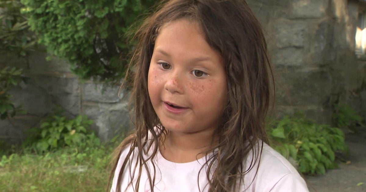 Fox attacks 6-year-old girl, woman in Worcester neighborhood