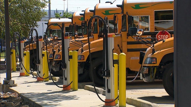 buses.jpg 