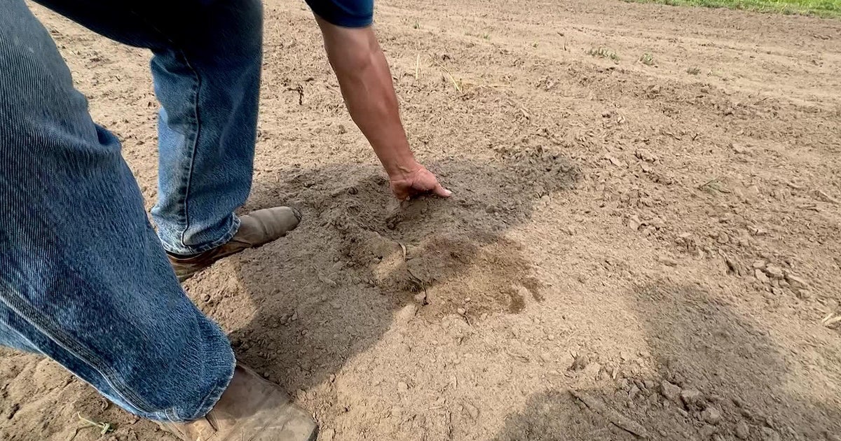 cbsnews.com - Ray  Campos - Severe drought expands in Minnesota, threatening farms