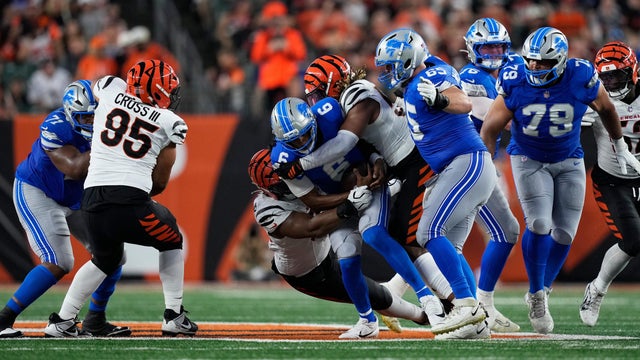 Lions Bengals Football 