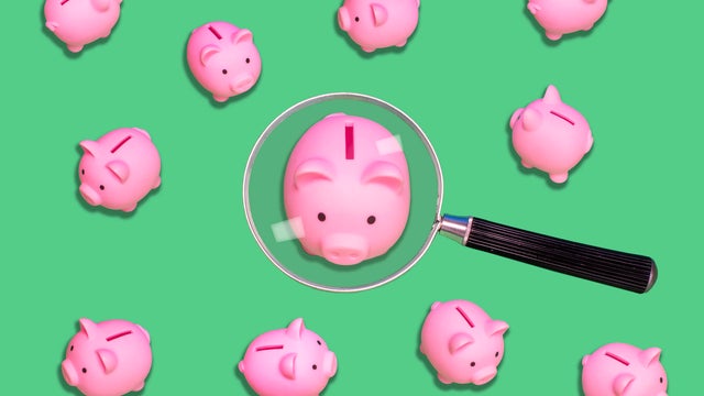 Saving scrutiny - Piggy bank under magnifying glass 