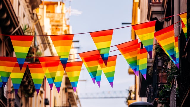 Rainbow colored flags decoration on the street for LGBTQI+ pride event 