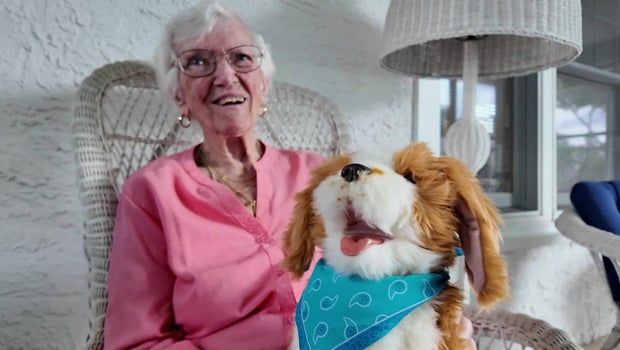 AI, robotic companions helping senior New Yorkers feel less lonely