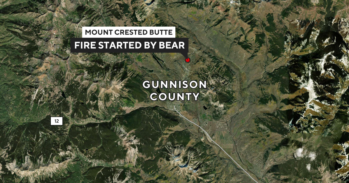 Colorado firefighters say bear broke into home and started fire