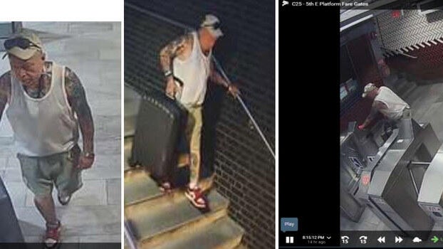 Three frames from surveillance video show the man police say vandalized a sculpture 