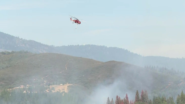 loma-fire.png 