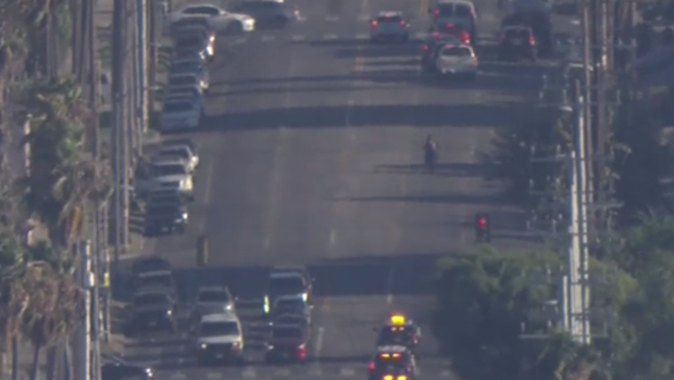 Police are in pursuit of a dirt bike rider armed with a gun in South Los Angeles