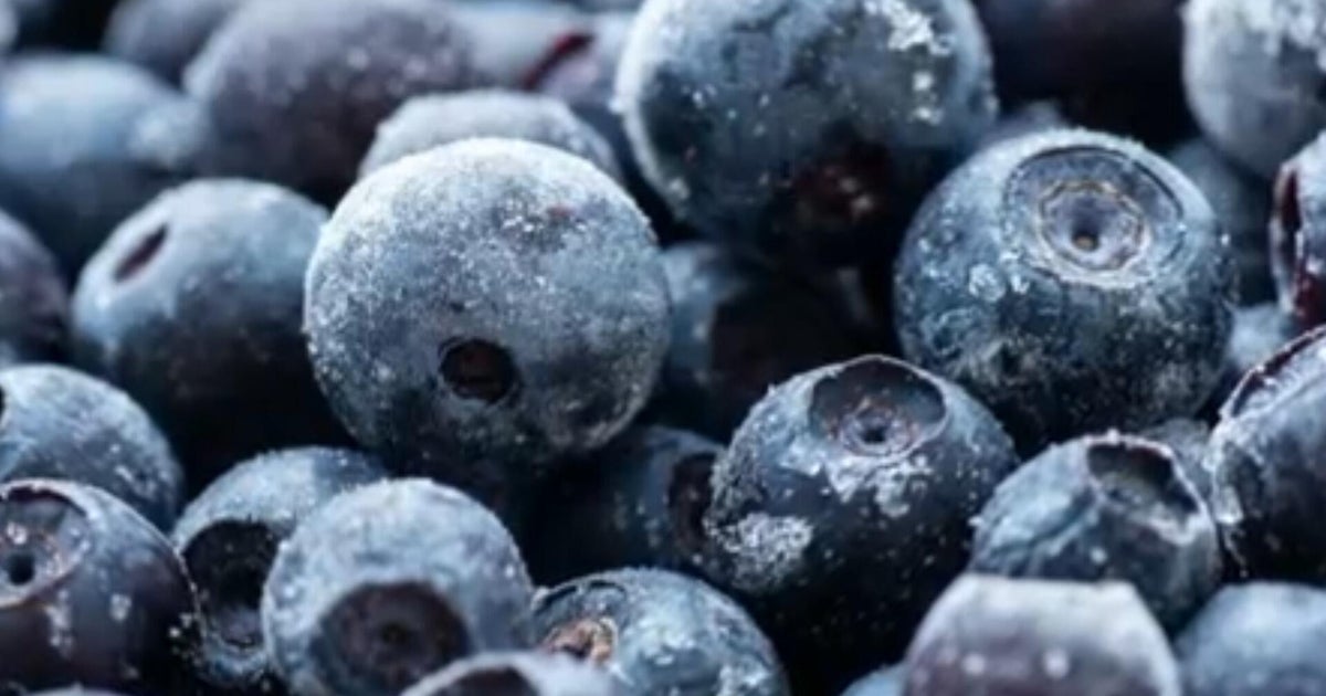 Blueberries become target of food recall for potential E. coli contamination
