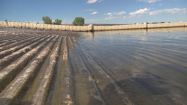 Colorado's recent rain saves boating season at Cherry Creek State Park